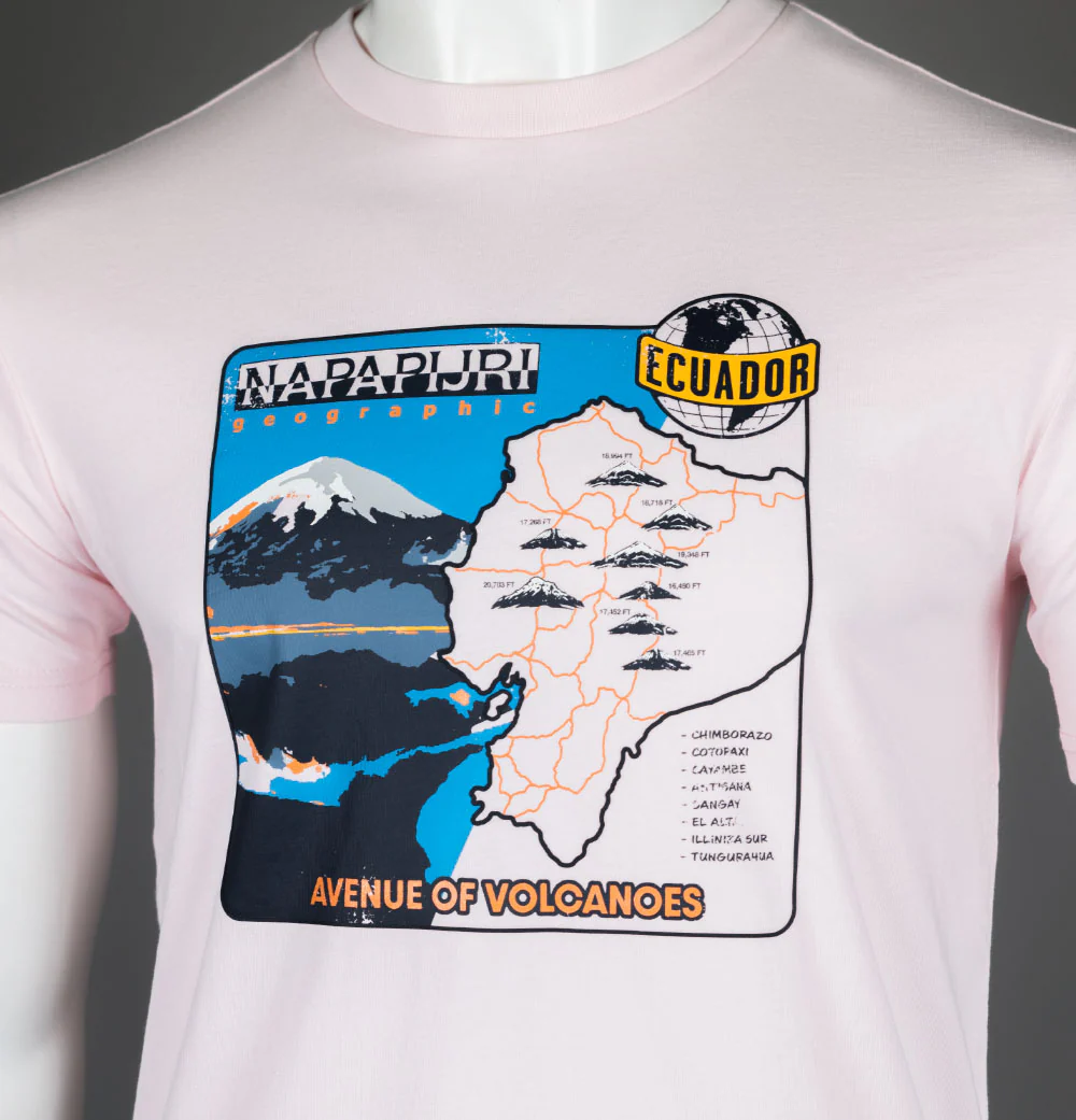 Napapijri Sangay T-Shirt Light Pink - Image 3