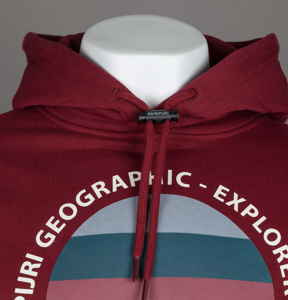 Napapijri Telemark Graphic Hoodie Burgundy - Image 4